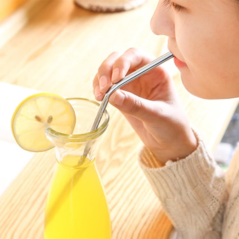 Reusable Stainless Steel Drinking Straws (8-Pack)