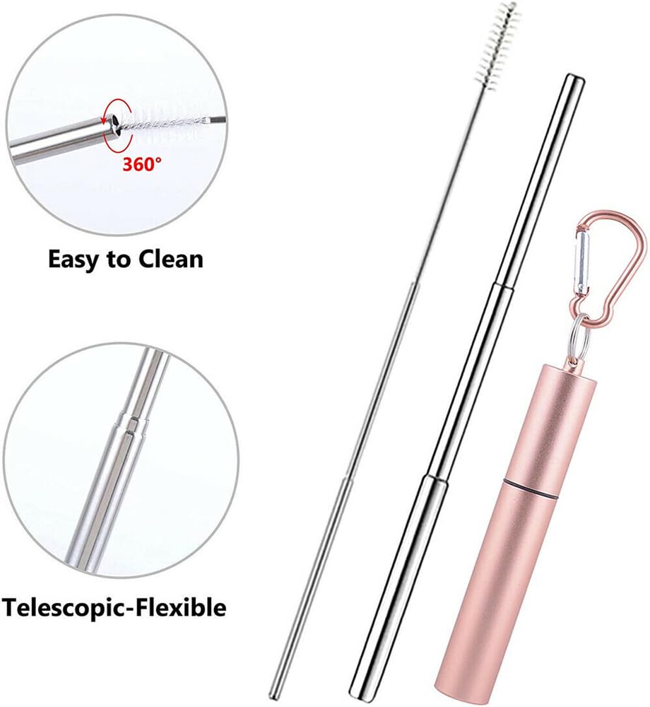 Collapsible Stainless Steel Drinking Straw with Case