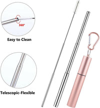 Collapsible Stainless Steel Drinking Straw with Case