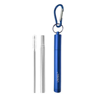 Collapsible Stainless Steel Drinking Straw with Case