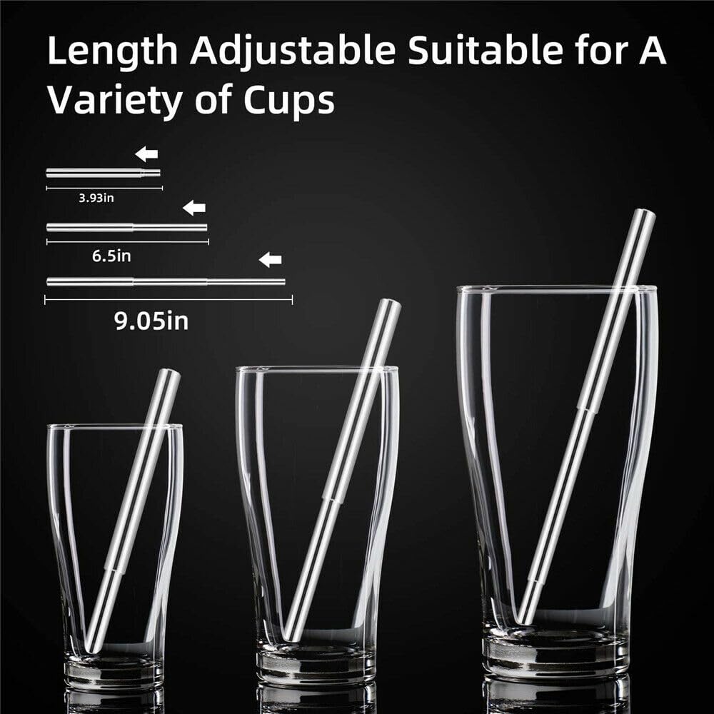 Collapsible Stainless Steel Drinking Straw with Case