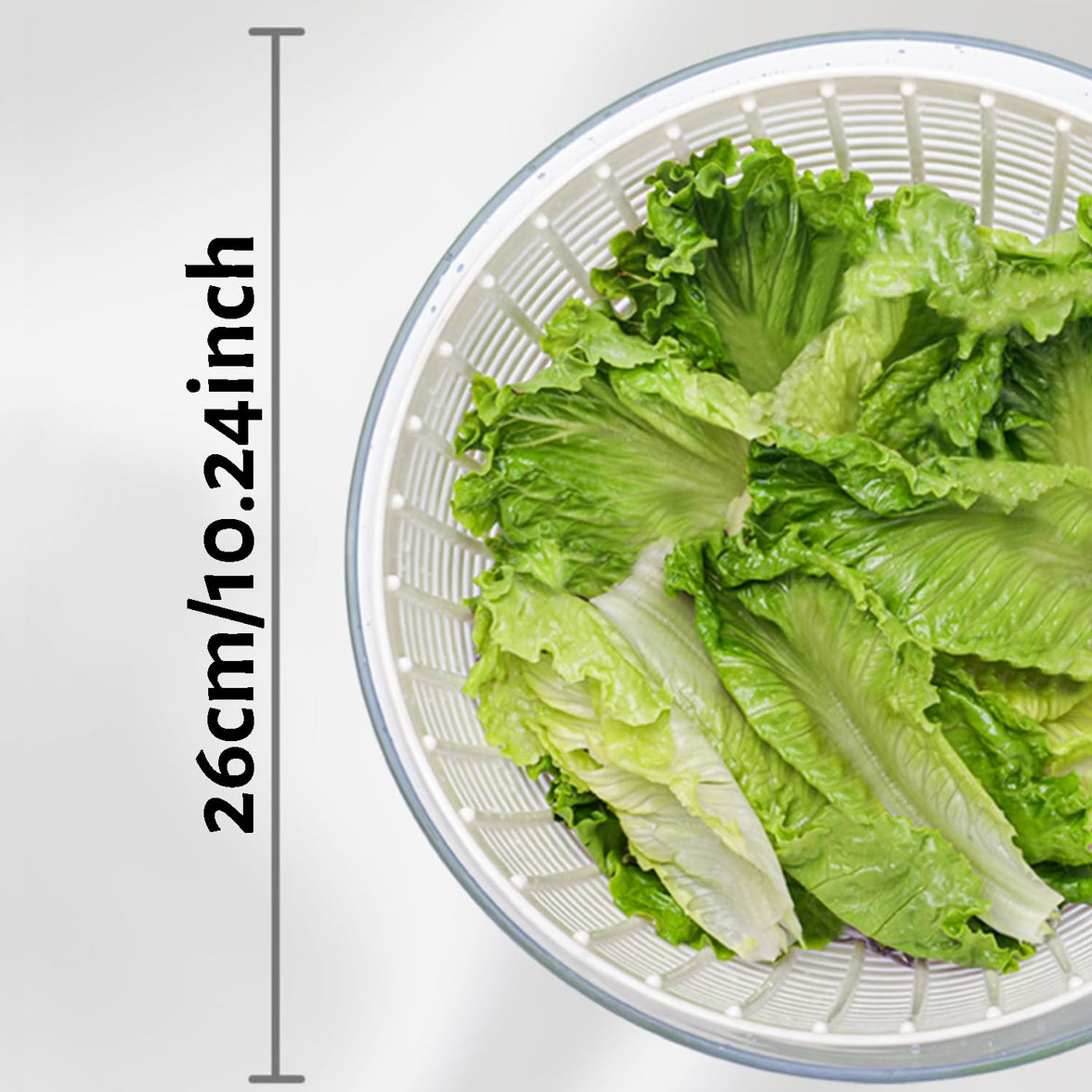 6L Salad Spinner & Washing Bowl