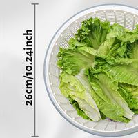 6L Salad Spinner & Washing Bowl